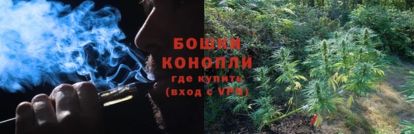 гашик Зеленокумск