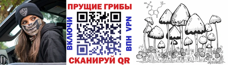 Галлюциногенные грибы ЛСД  даркнет сайт  Красный Кут 